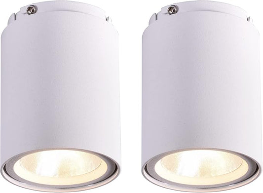 Spot LED de tavan 8 W, pachet de 2, diametru de montaj 60 mm, alb cald, 3000 K, unghi de fascicul 36°, pentru sufragerie, birou, comercial, receptie, hol, sala de sport, alb