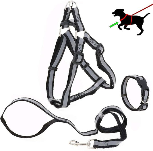 Set de ham pentru caini din 3 bucati, Reflectorizant, Ajustabil, Schoberg, zgarda pentru caini cu reflector pentru vizibilitate, pentru animale de companie, negru/gri