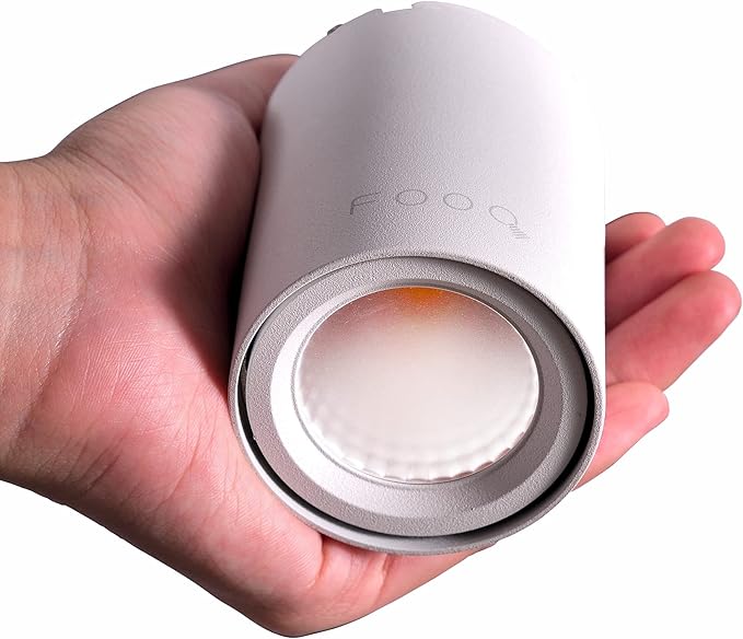 Spot LED de tavan 8 W, pachet de 2, diametru de montaj 60 mm, alb cald, 3000 K, unghi de fascicul 36°, pentru sufragerie, birou, comercial, receptie, hol, sala de sport, alb